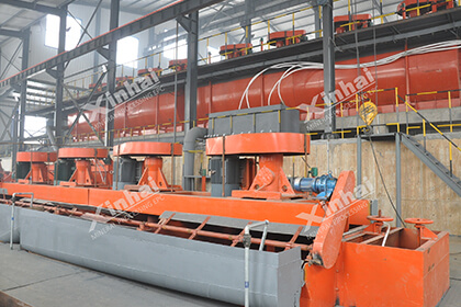gold flotation plant